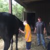2017 Horseback Riding